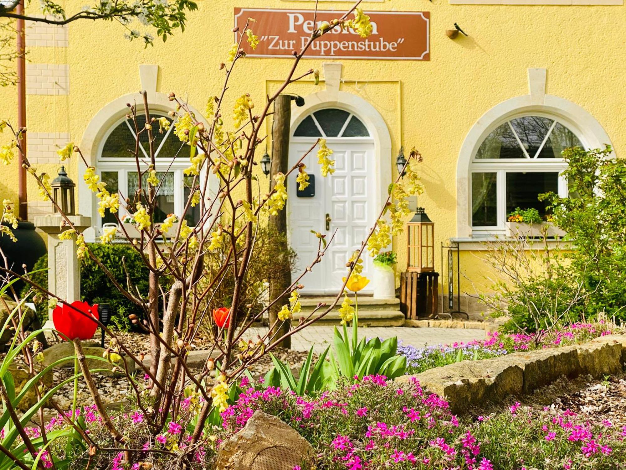 Restaurant Und Pension Zur Puppenstube 스톨펜 외부 사진